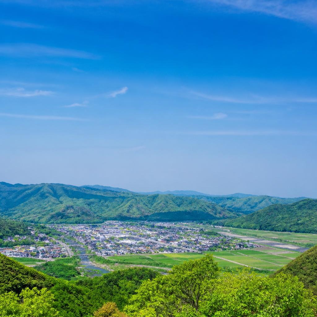 正社員としてのキャリア